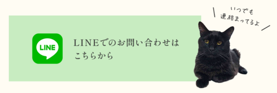 ねこほるん音楽教室公式LINE